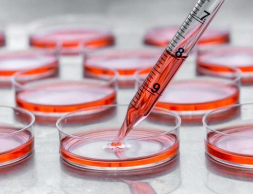 Pro-life stem cell research finds success