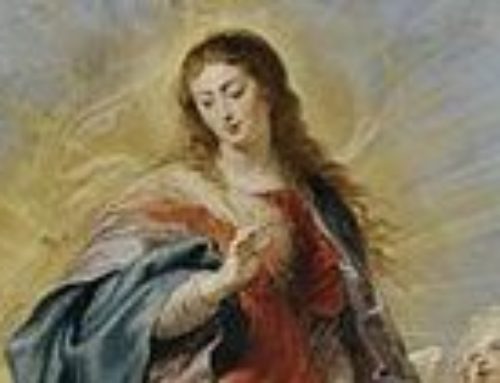 Feast of the Immaculate Conception