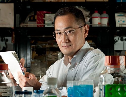 DR YAMANAKA ON STEM CELLS