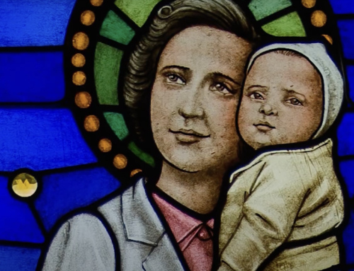 100th anniversary of the birth of St. Gianna Beretta Molla M.D.